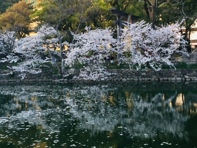 Beautiful Landscape